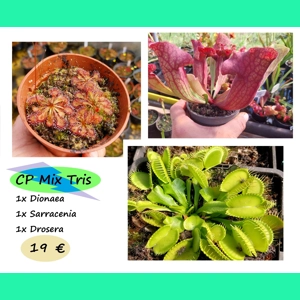 CP Mix Tris
