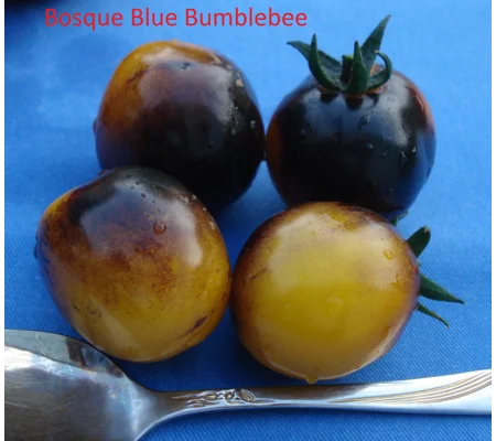 Bosque Blue Bumblebee, cherry, 15 seeds