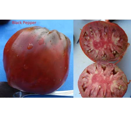 Black Pepper, salad/paste, 15 seeds