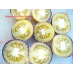 Bosque Blue Bumblebee, cherry, 15 seeds