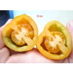 Eros, paste, 15 seeds