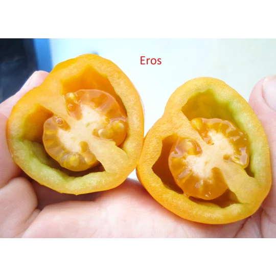 Eros, paste, 15 seeds