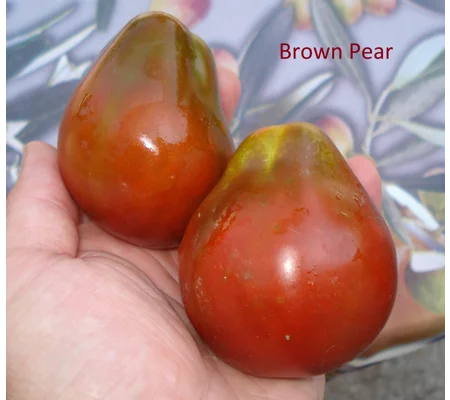 Brown Pear, salad/cherry, 15 seeds
