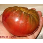 Rosella Purple, salad, 15 seeds