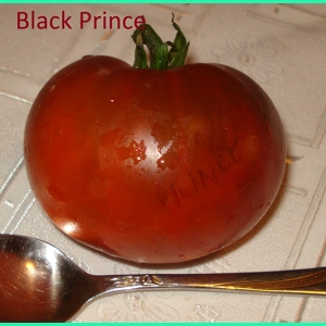 Black Prince, salad, 15 seeds