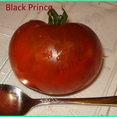 Black Prince, salad, 15 seeds