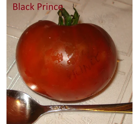 Black Prince, salad, 15 seeds