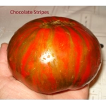 Chocolate Stripes, beefsteak, 15 seeds