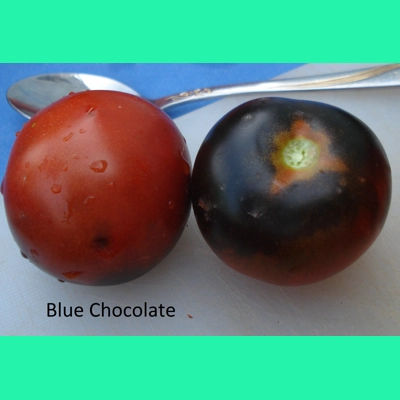 Blue Chocolate, salad, 15 seeds