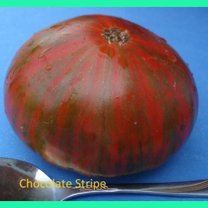Chocolate Stripes, beefsteak, 15 seeds