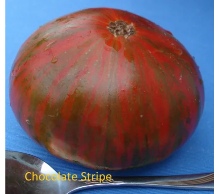 Chocolate Stripes, beefsteak, 15 seeds