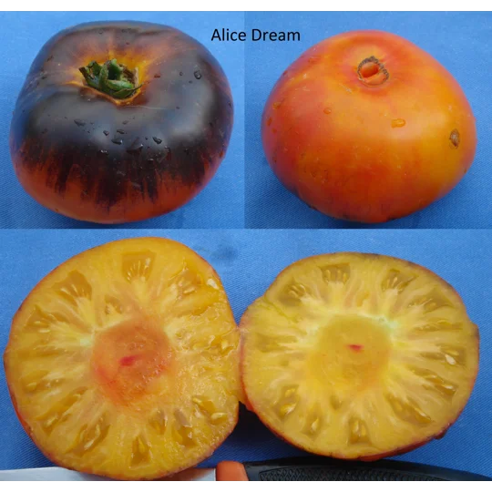 Alice Dream, beefsteak, 15 seeds