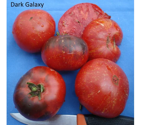 Dark Galaxy, salad, 15 seeds