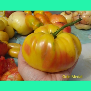 Gold Medal, beefstake, 15 seeds