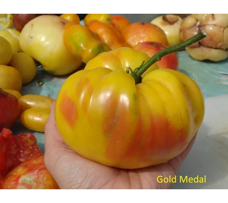Gold Medal, beefstake, 15 seeds