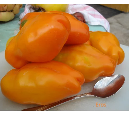 Eros, paste, 15 seeds
