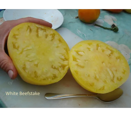 White Beefstake, beefstake, 15 seeds