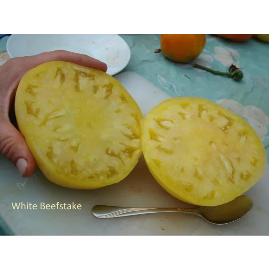 White Beefstake, beefstake, 15 seeds