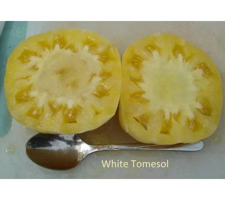 White Tomesol, beefstake, 15 seeds