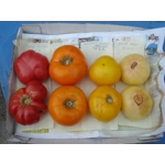 White Queen, beefstake, 15 seeds