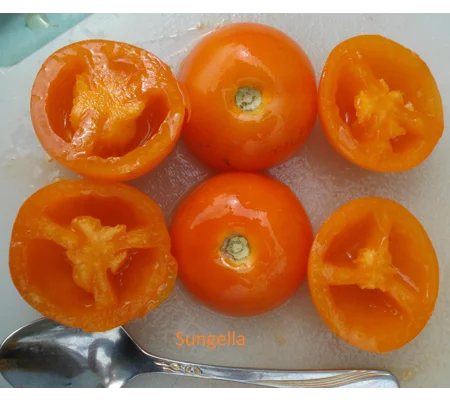 Sungella, cherry, 15 seeds