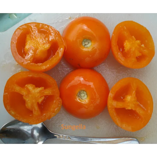 Sungella, cherry, 15 seeds