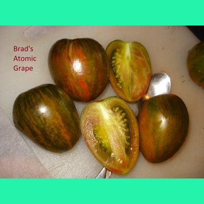 Brad's Atomic Grape, cherry, 15 seeds.
