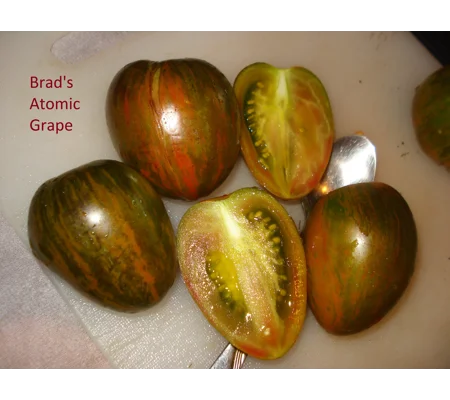 Brad's Atomic Grape, cherry, 15 seeds.