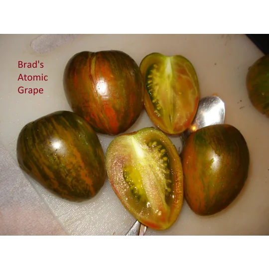 Brad's Atomic Grape, cherry, 15 seeds.