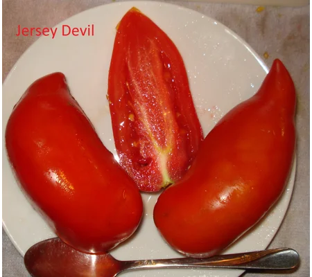 Jersey Devil, paste, 15 seeds