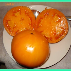 Jantar, salad, 15 seeds