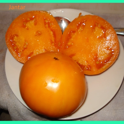 Jantar, salad, 15 seeds