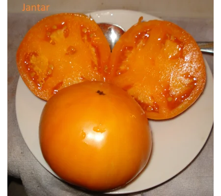 Jantar, salad, 15 seeds