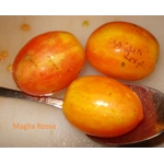 Maglia Rosa, cherry, 15 seeds