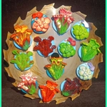 Carnivorous plant fridge magnet