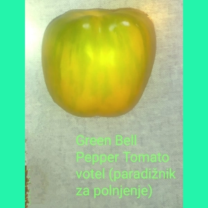 Green Bell Pepper Tomato, stuffer, 15 seeds