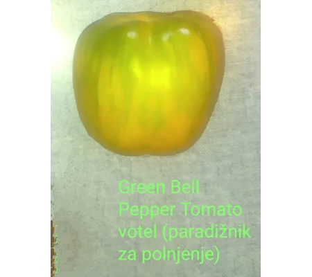 Green Bell Pepper Tomato, stuffer, 15 seeds