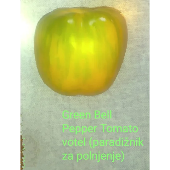Green Bell Pepper Tomato, stuffer, 15 seeds