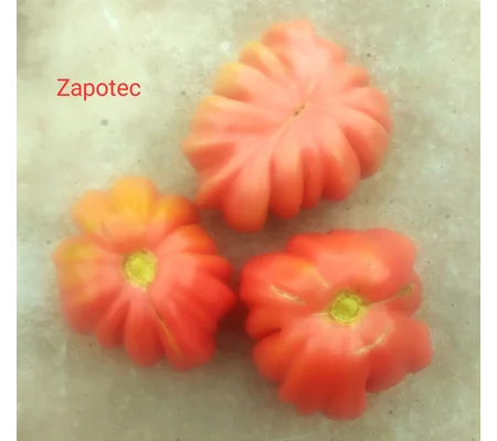 Zapotec, beefstake, 15 seeds
