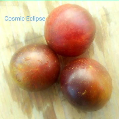 Cosmic Eclipse, cherry, 15 seeds