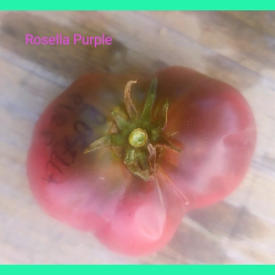 Rosella Purple, salad, 15 seeds