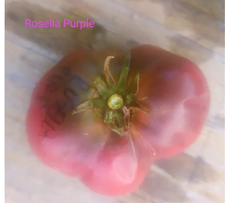 Rosella Purple, salad, 15 seeds