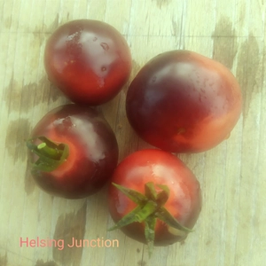 Helsing Junction, cherry, 15 seeds