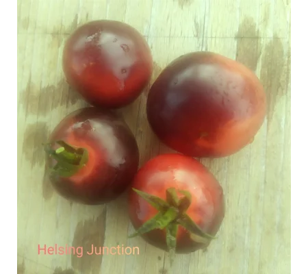 Helsing Junction, cherry, 15 seeds