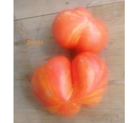 Bambi, salad, Diversiflora's variety, 15 seeds