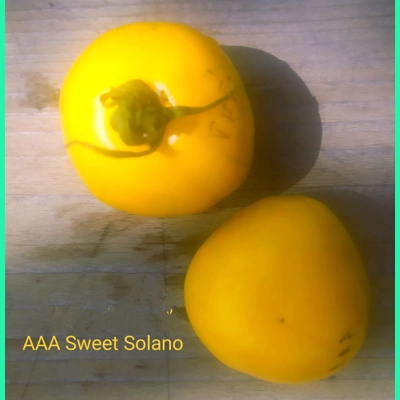 AAA Sweet Solano, salad, 15 seeds