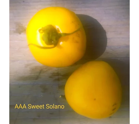 AAA Sweet Solano, salad, 15 seeds