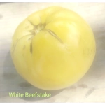 White Beefstake, beefstake, 15 seeds