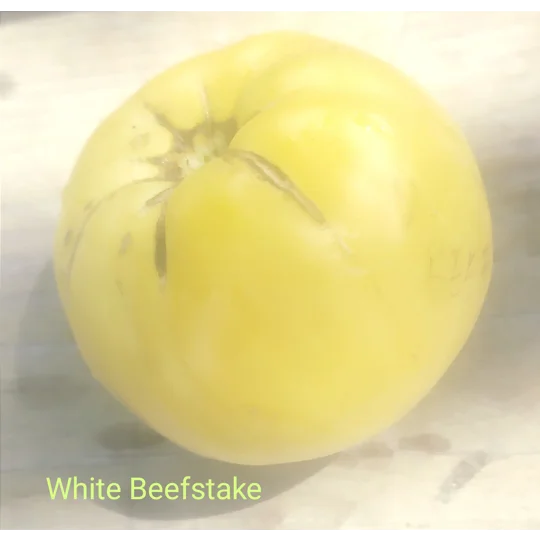 White Beefstake, beefstake, 15 seeds