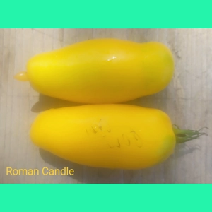 Roman Candle, salad, 15 seeds